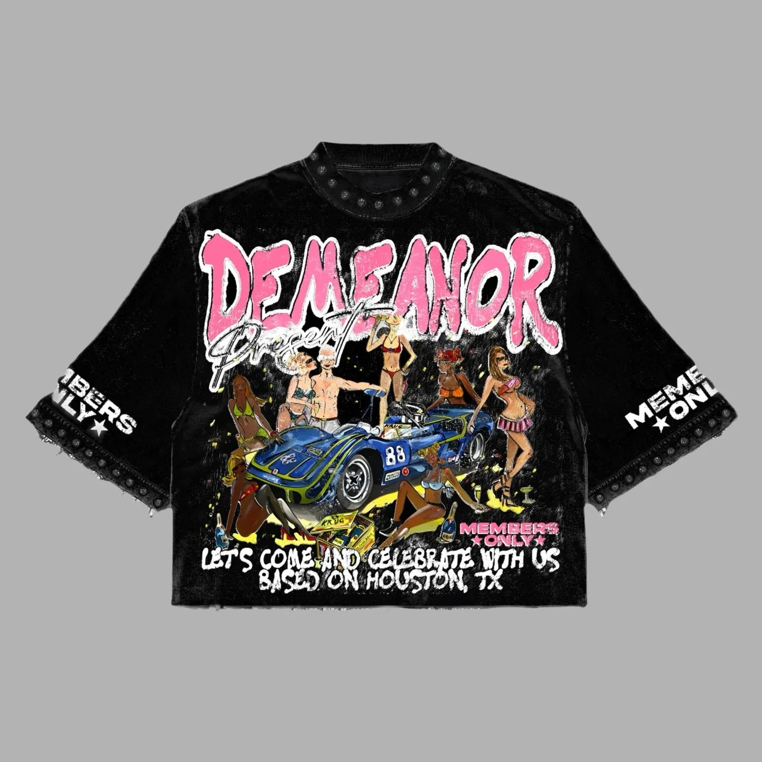 Harajuku Klein Stone Embroidery Crop Tee